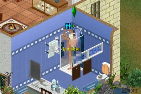sim211.jpg