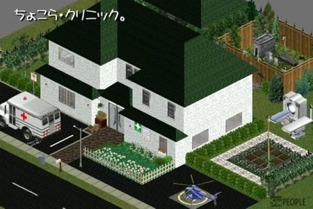 sim213.jpg