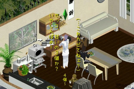 sim217.jpg
