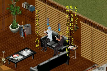sim228.jpg