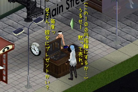 sim237.jpg