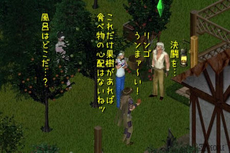 sim245.jpg