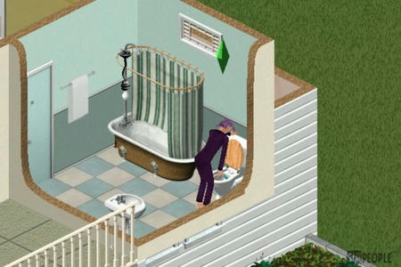 sim255.jpg