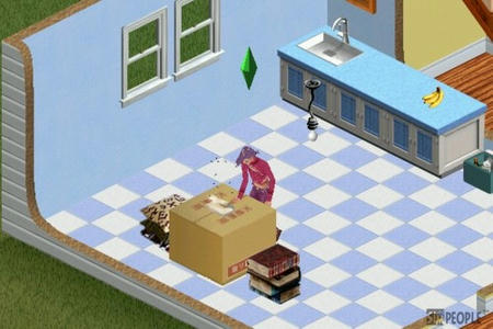 sim257.jpg