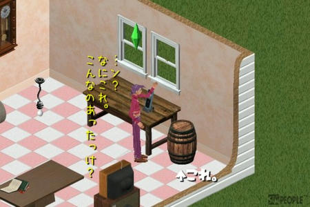 sim260.jpg