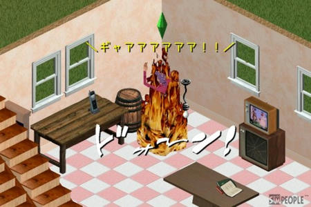 sim261.jpg