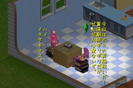sim264.jpg