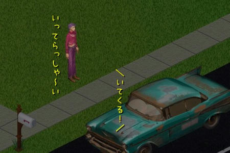 sim266.jpg