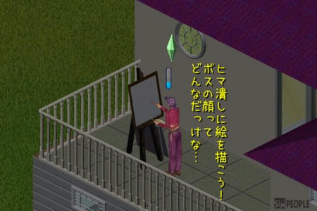 sim267.jpg