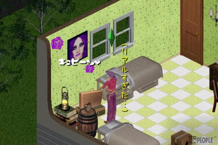 sim268.jpg
