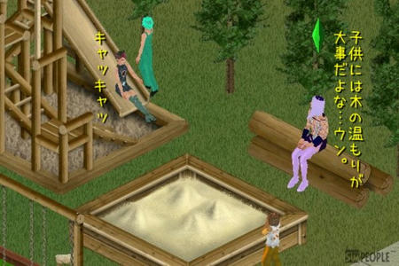 sim281.jpg
