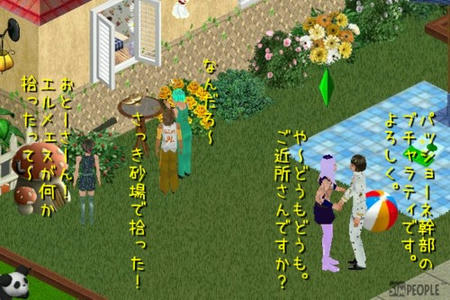 sim284.jpg