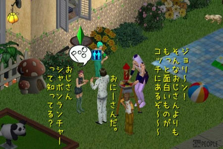 sim289.jpg