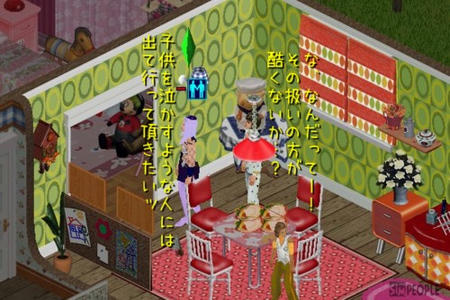 sim296.jpg