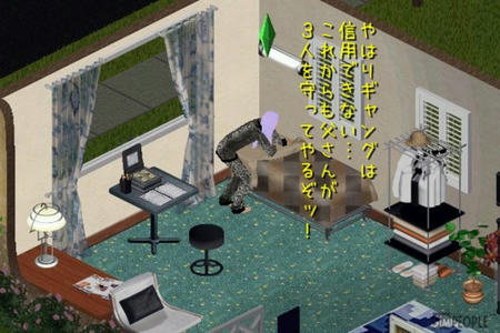 sim298.jpg