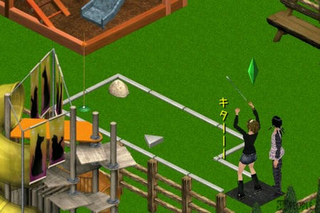 sim303.jpg