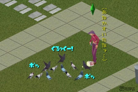 sim306.jpg