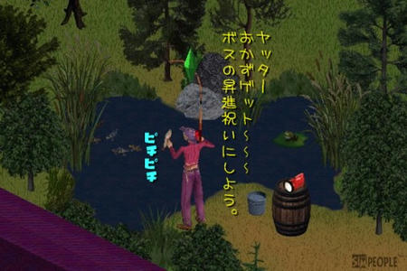 sim309.jpg
