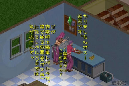 sim310.jpg