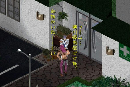 sim312.jpg