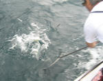 7ab7891f.jpg