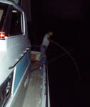 P80900041-1.jpg