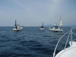 P5020001-1.jpg