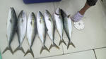 2009082318060000.jpg
