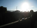 IMG_8710.jpg