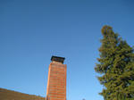 IMG_8712.jpg