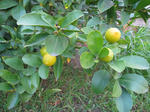 IMG_8783.jpg