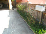 IMG_8799.jpg