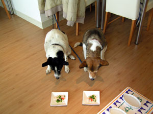 見よ、この真剣な眼差しを！！