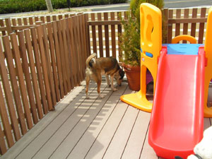 食後の腹ごなしになってる、か？