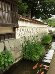 DSCF1043.JPG