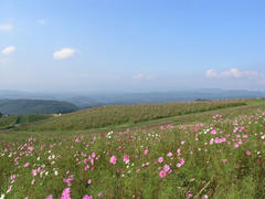 PA180332.JPG