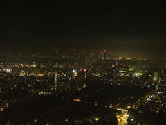 tokyocityview091106F2434.jpg