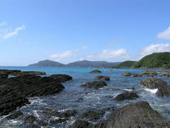 mogushi060716c5205.jpg