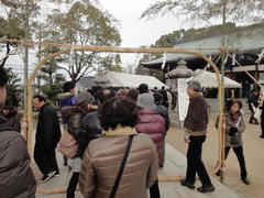 DSC01733.JPG