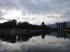 DSC01768.JPG