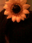 081004_210308.JPG