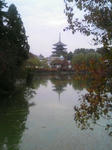 c9473d48.JPG