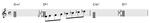 Db7_scale.jpg