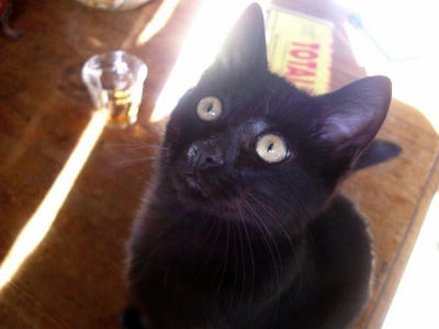 perrier