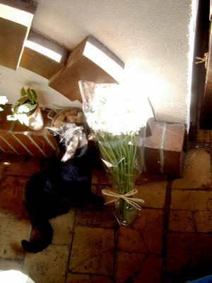 perrierfleurs