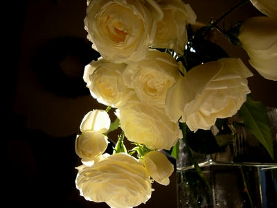 2002roses