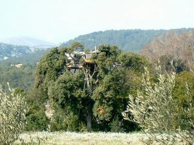 cassis3