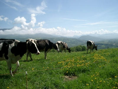 savoie4