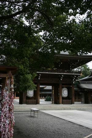 samukawa1