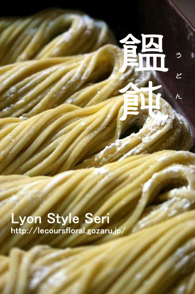 udon